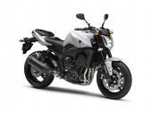 2010 Yamaha FZ1 photo